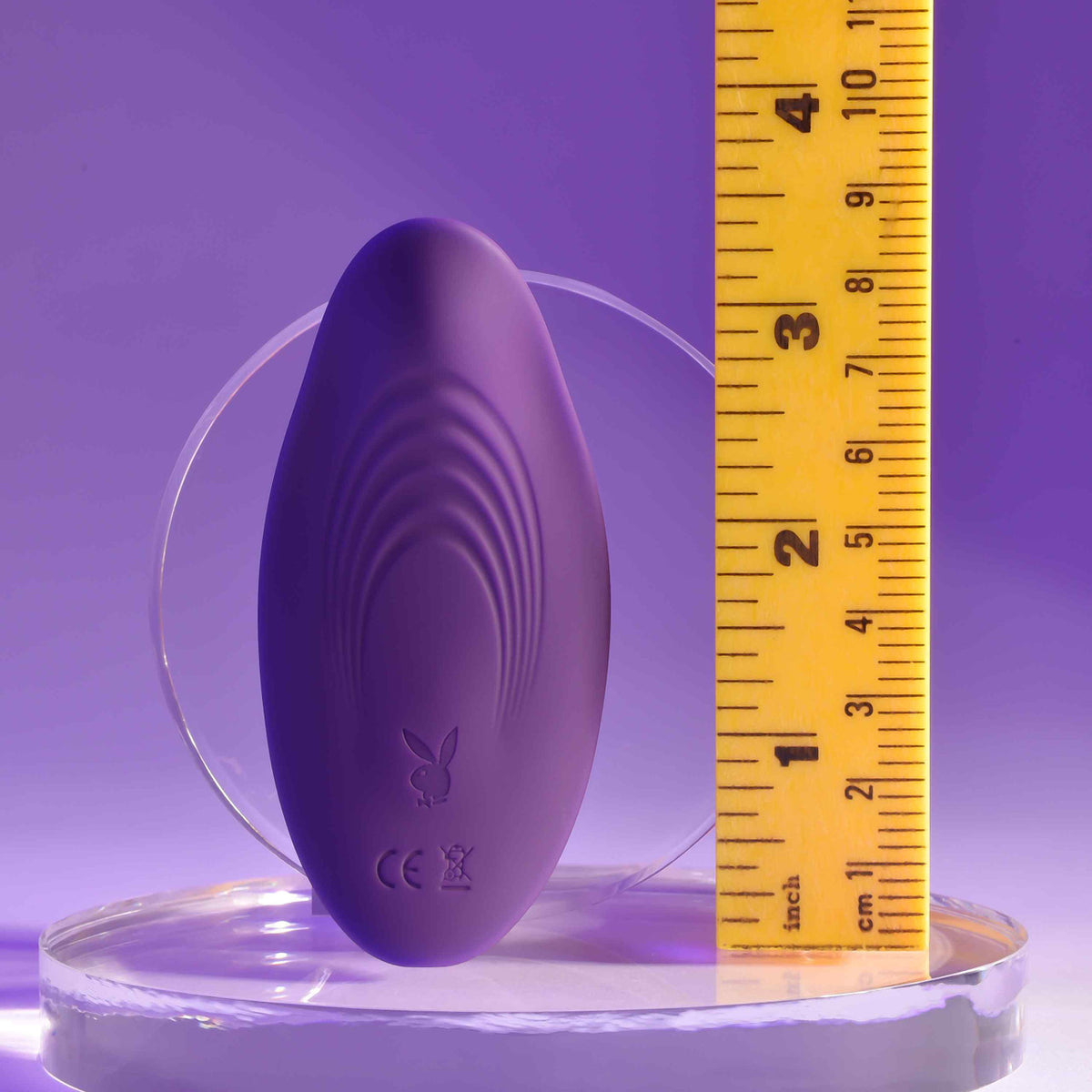 Playboy Pleasure Our Little Secret Remote Control Panty Vibrator