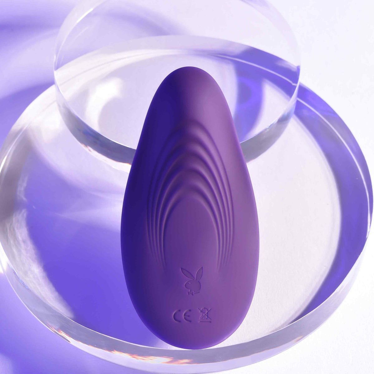 Playboy Pleasure Our Little Secret Remote Control Panty Vibrator