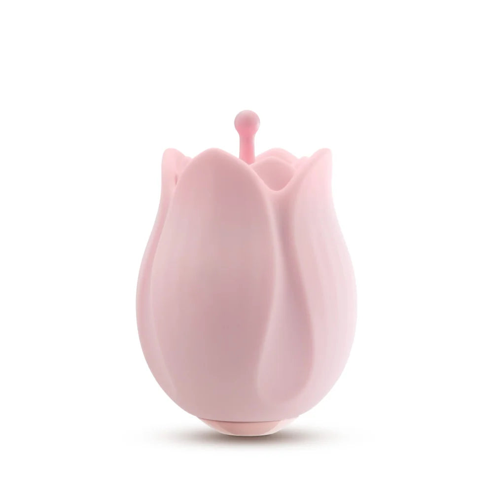 Play With Me Romantic Rose Vibrator with 3 Rosebud Attachments – Pink